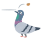 Kotowaza_hato_mamedeppou