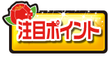 注目ポイント