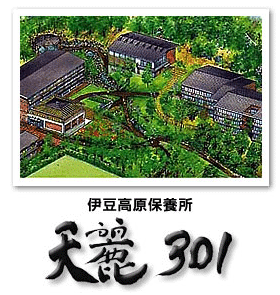 天麗301