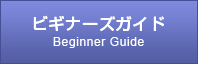 ビギナーズガイド