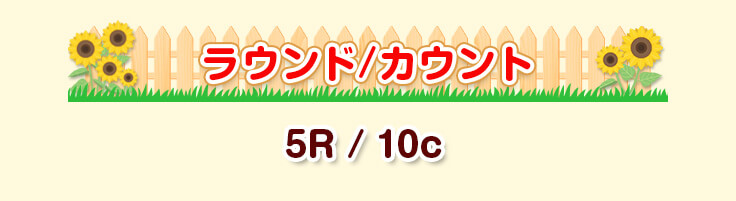 ラウンド/カウント 5R / 10c