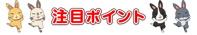 注目ポイント