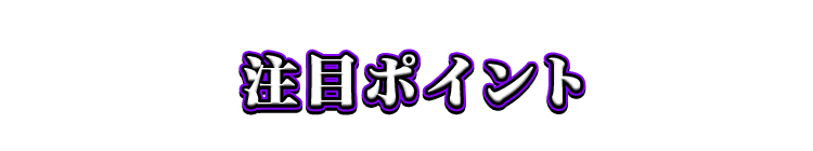 注目ポイント