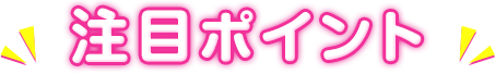注目ポイント