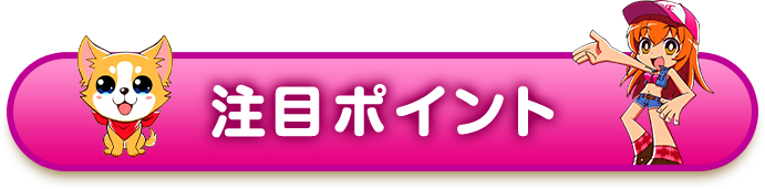 注目ポイント