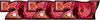 6dfed4978