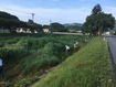 Image0