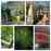 9c872857-31e0-4993-8cc3-744a5b95c165_1755483963841_4697