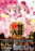 Order_ae250828-0254_order_png