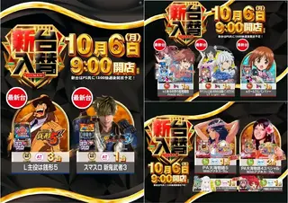 1006dmm426
