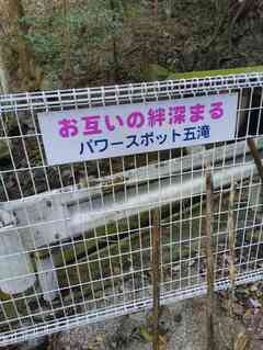 0ca6b42a-baef-4451-bfae-44da5fa2586b_1760351649582_184