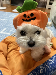 (am)%e4%bd%90%e8%97%a4%e3%80%80%e5%89%87%e5%92%8c_2025-10-21_10-24-38_769