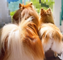 %e5%be%8c%e8%97%a4%e3%80%80%e5%85%89_2025-10-20_19-20-56_321