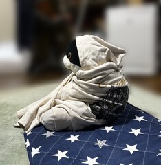 %e3%83%80%e3%83%aa%e3%81%a1%e3%82%83%e3%82%93%e3%81%95%e3%82%80%e3%81%84