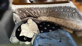 %e3%83%80%e3%83%aa%e3%81%a1%e3%82%83%e3%82%93%e3%81%93%e3%81%9f%e3%81%a4