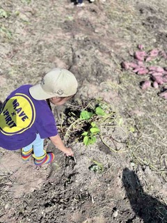 %e3%81%86%e3%81%97%e3%82%8d