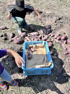 %e3%81%8a%e8%8a%8b%e3%81%9f%e3%81%a1