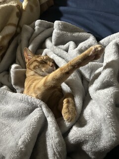 (am)%e5%86%85%e7%94%b0%e3%80%80%e5%8f%8b%e7%ab%a0_2025-11-01_10-27-14_122