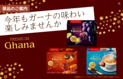 %e3%83%97%e3%83%ac%e3%83%9f%e3%82%a2%e3%83%a0%e3%82%ac%e3%83%bc%e3%83%8a%ef%bc%88%e6%a8%aa%ef%bc%89