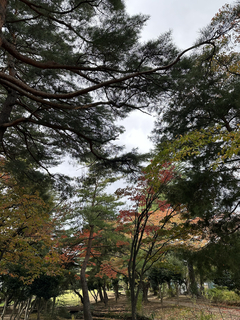 %e7%a7%8b_2025-11-08_12-54-26_649