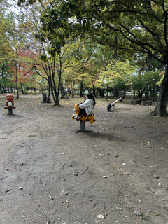 %e7%a7%8b%e7%8e%b2_2025-11-08_12-54-23_534