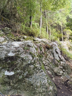 %e6%b4%b2%e5%8f%a3%e3%80%80%e5%92%8c%e4%b9%9f_2025-10-25_21-52-01_312