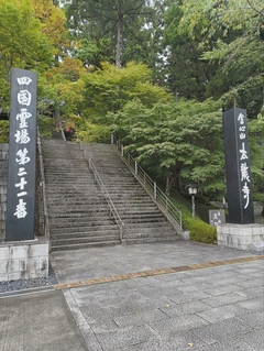 %e6%b4%b2%e5%8f%a3%e3%80%80%e5%92%8c%e4%b9%9f_2025-10-25_21-52-14_391