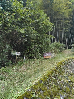 %e6%b4%b2%e5%8f%a3%e3%80%80%e5%92%8c%e4%b9%9f_2025-10-25_21-51-43_178_(1)