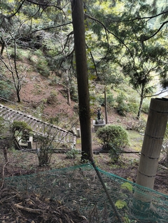 %e6%b4%b2%e5%8f%a3%e3%80%80%e5%92%8c%e4%b9%9f_2025-10-25_21-51-47_62