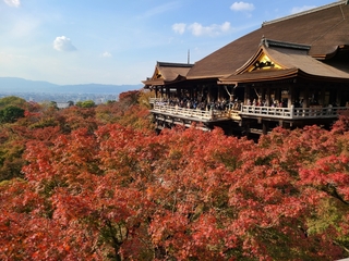 %e4%ba%ac%e9%83%bd%e2%91%a2