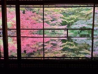 %e4%ba%ac%e9%83%bd%e2%91%a1