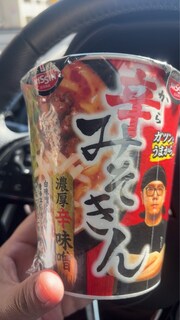 %e8%be%9b%e3%81%bf%e3%81%9d%e3%81%8d%e3%82%93