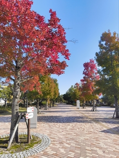 %e6%b4%b2%e5%8f%a3%e3%80%80%e5%92%8c%e4%b9%9f_2025-11-09_04-06-50_8