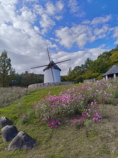 %e6%b4%b2%e5%8f%a3%e3%80%80%e5%92%8c%e4%b9%9f_2025-11-09_04-06-51_574