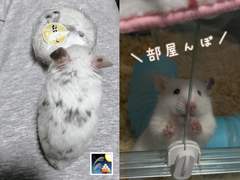 %e6%9d%91%e6%9e%97%e3%80%80%e5%bd%a9%e4%b9%83_2025-11-10_20-21-49_157