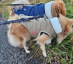 %e5%be%8c%e8%97%a4%e3%80%80%e5%85%89_2