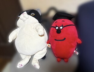 %e3%83%80%e3%83%aa%e3%81%a1%e3%82%83%e3%82%93%e3%81%a8%e3%82%bf%e3%83%a9%e3%82%b3%e3%83%b3%e5%8d%9a%e5%a3%ab