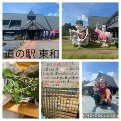 9c872857-31e0-4993-8cc3-744a5b95c165-1764118000-1766034100