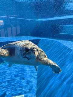 %e6%b4%b2%e5%8f%a3%e3%80%80%e5%92%8c%e4%b9%9f_2025-11-25_14-41-19_755