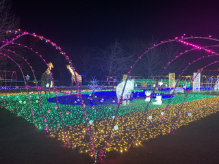 (am)%e5%ae%ae%e3%83%8e%e5%8e%9f%e3%80%80%e6%ad%a3%e8%bc%9d_2025-12-02_18-47-48_811