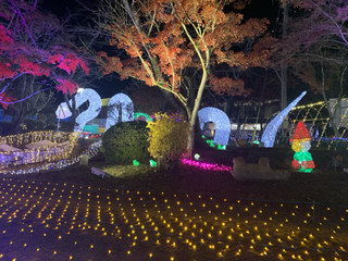 (am)%e5%ae%ae%e3%83%8e%e5%8e%9f%e3%80%80%e6%ad%a3%e8%bc%9d_2025-12-02_18-48-20_929