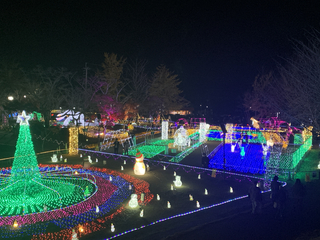 (am)%e5%ae%ae%e3%83%8e%e5%8e%9f%e3%80%80%e6%ad%a3%e8%bc%9d_2025-12-02_18-50-08_27