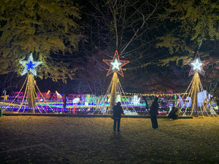 (am)%e5%ae%ae%e3%83%8e%e5%8e%9f%e3%80%80%e6%ad%a3%e8%bc%9d_2025-12-02_18-52-45_802