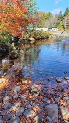 %e7%b4%b0%e5%b7%9d%e3%80%80%e7%94%b1%e9%a6%99%e9%87%8c_2025-12-04_19-34-14_535