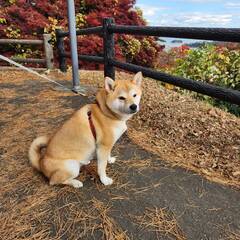 %e7%b4%b0%e5%b7%9d%e3%80%80%e7%94%b1%e9%a6%99%e9%87%8c_2025-12-04_19-35-11_63