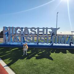 %e7%b4%b0%e5%b7%9d%e3%80%80%e7%94%b1%e9%a6%99%e9%87%8c_2025-12-04_19-35-40_74