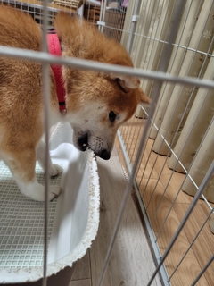 %e3%82%8f%e3%82%93%ef%bc%92