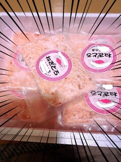 %e4%b8%a6%e6%9c%a8%e3%80%80%e7%b4%80%e5%ad%90_2025-12-11_09-43-02_662