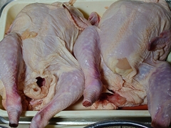 02%e4%b8%b8%e9%b6%8f