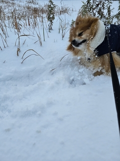 %e5%be%8c%e8%97%a4%e3%80%80%e5%85%89_4